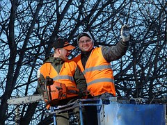 guys from Tree Service Company